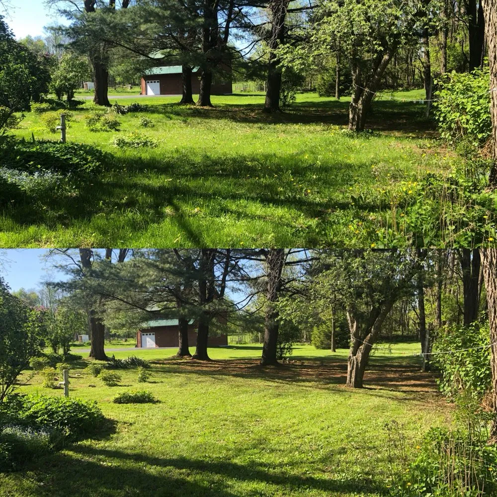 Custom lawn care service in Amsterdam, NY by Dockstader Landscaping