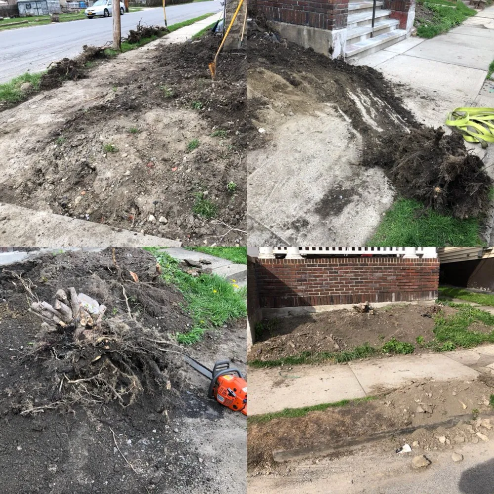 Expert landscape installation experts serving Amsterdam, NY - Dockstader Landscaping