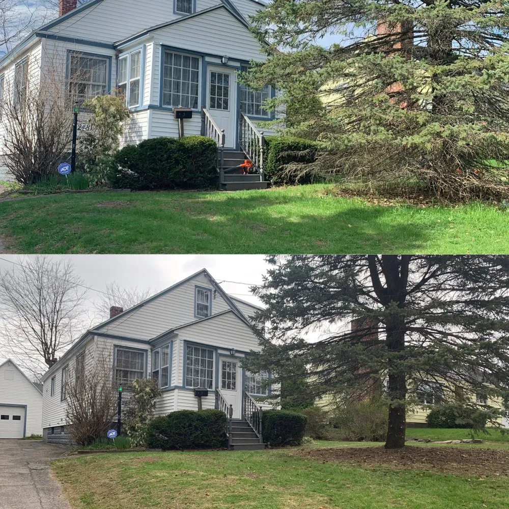 Professional landscaping services experts serving Amsterdam, NY - Dockstader Landscaping