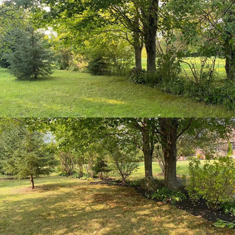 Custom residential landscaping for homes across Amsterdam, NY - Dockstader Landscaping