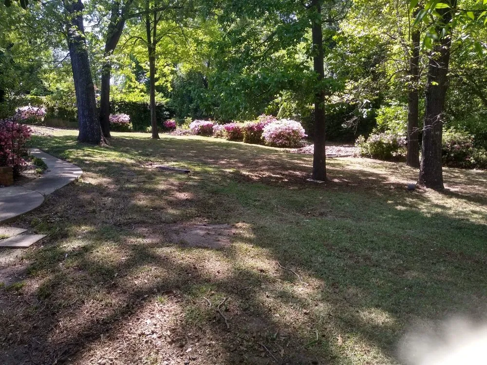 Reliable landscaping services in Fayetteville, NC - Doc’s Lawn Care & Pressure Washing Service