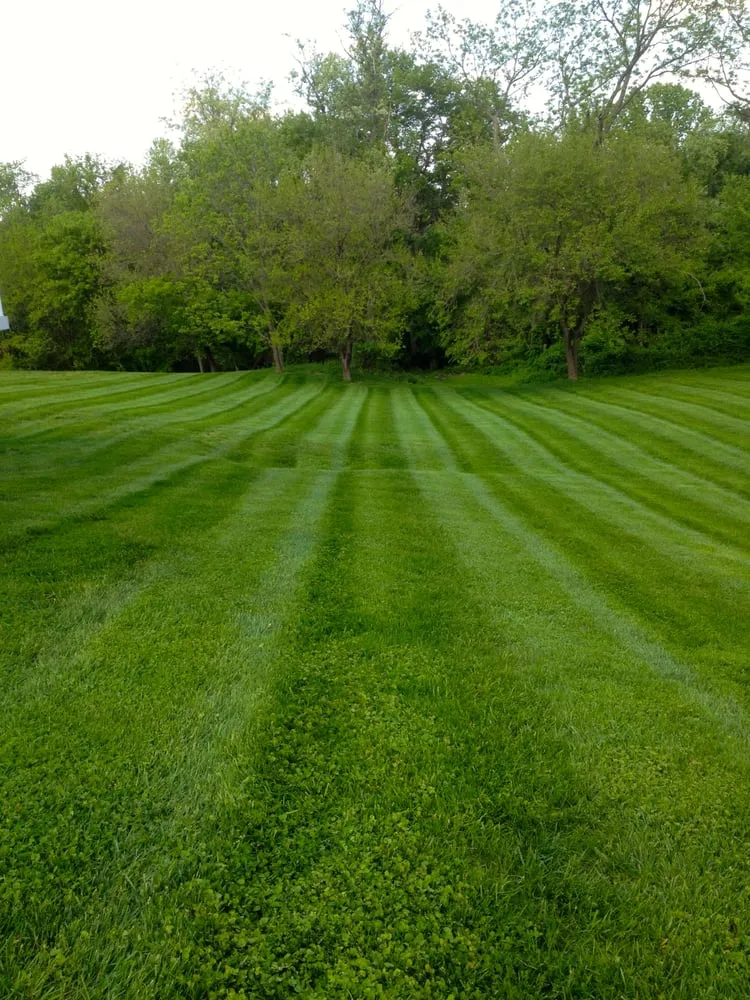 Reliable yard maintenance in Fallston, MD - Doc's Lawn Care