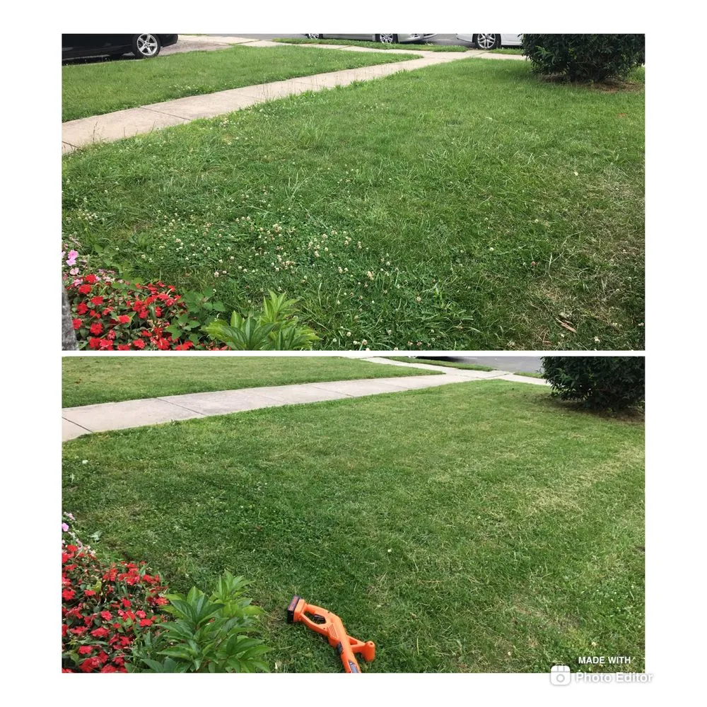 Local landscape installation experts serving Vineland, NJ - Docs lawn care