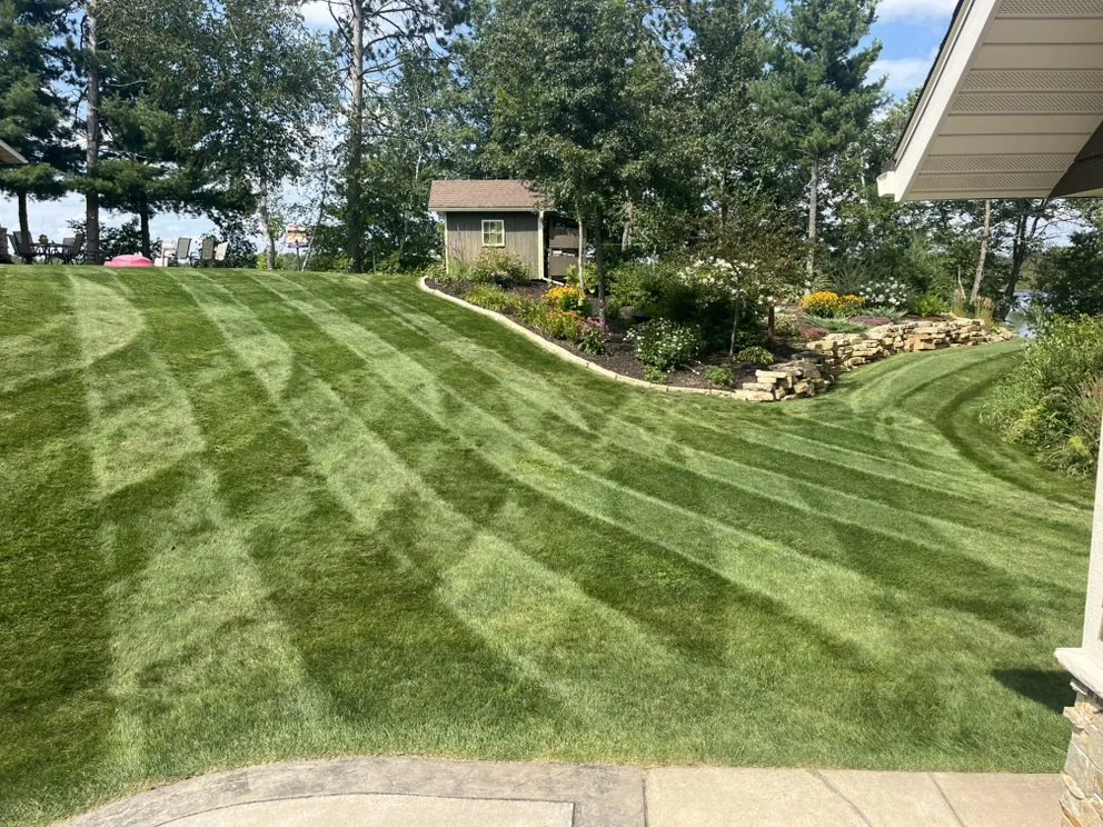 Affordable lawn care service for year-round maintenance across Tony, WI - Doc’s Lawn Service