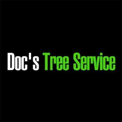 Trusted landscape design in Schertz, TX - Doc's Tree Service