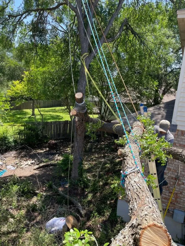 Trusted outdoor landscaping with custom design across Schertz, TX - Doc's Tree Service