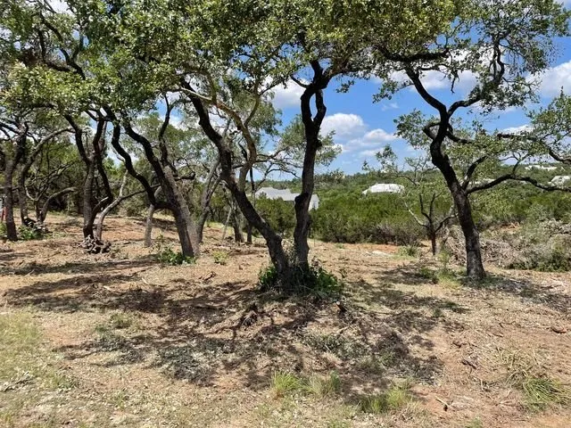 Professional yard maintenance near you across Schertz, TX - Doc's Tree Service