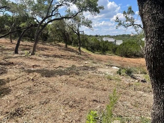 Local landscaping services in Schertz, TX by Doc's Tree Service