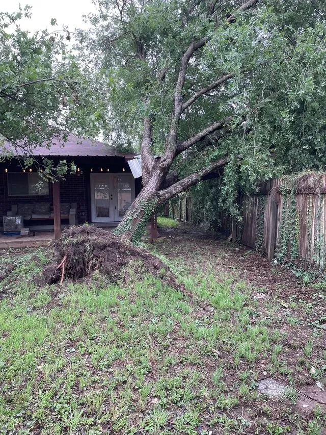 Affordable lawn mowing service for residential properties in Schertz, TX by Doc's Tree Service