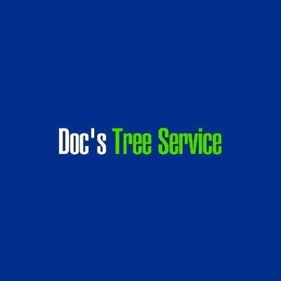 Affordable landscape design experts serving Schertz, TX - Doc's Tree Service