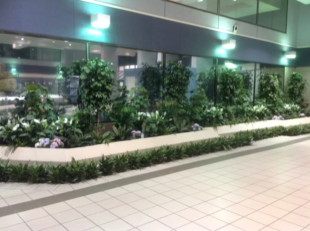 Local landscape design for residential properties in South Holland, IL by Docter Interior Plantscaping