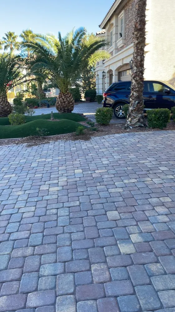 Affordable outdoor landscaping in Las Vegas, NV - Doctor Lawn Care