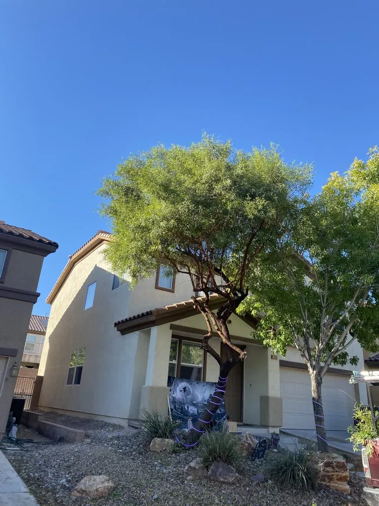 Trusted lawn care service for outdoor upgrades across Las Vegas, NV - Doctor Lawn Care