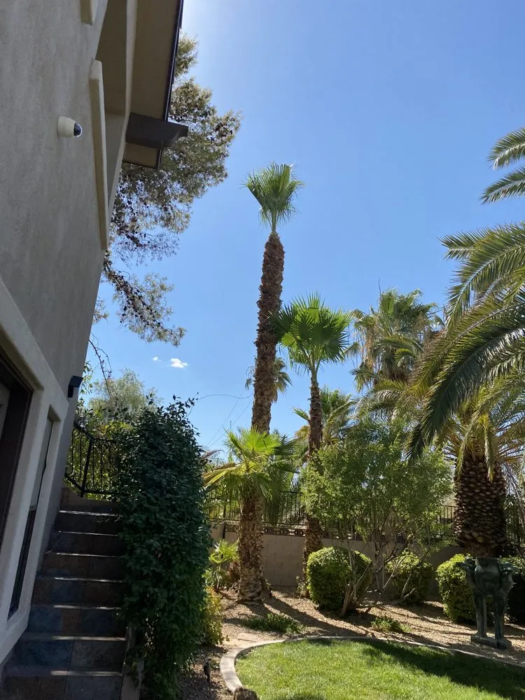 Expert garden landscaping in Las Vegas, NV by Doctor Lawn Care