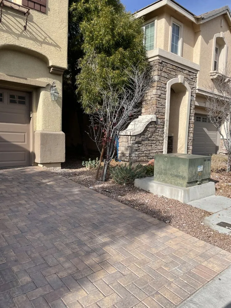 Local yard cleanup service in Las Vegas, NV by Doctor Lawn Care