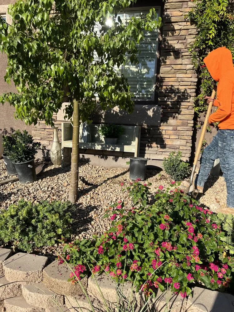 Reliable garden landscaping for homes across Las Vegas, NV - Doctor Lawn Care