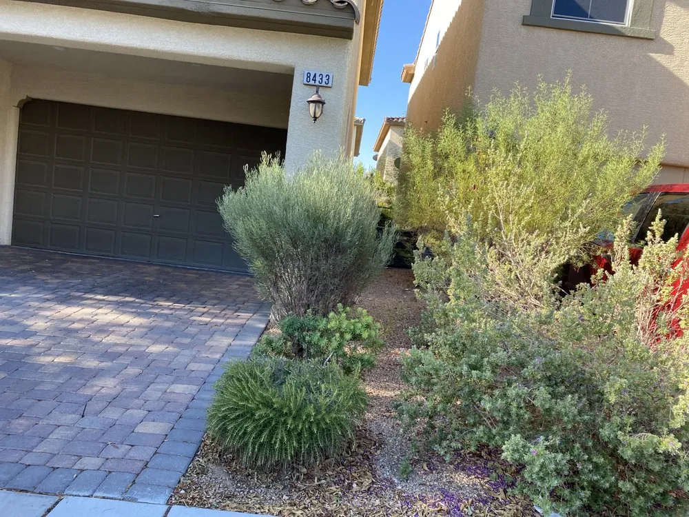 Affordable landscape installation in Las Vegas, NV - Doctor Lawn Care