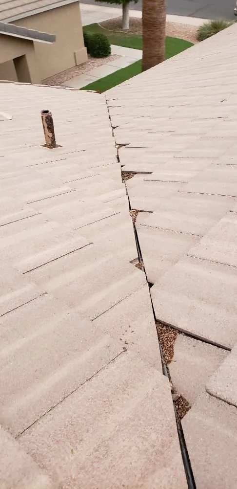 Local residential landscaping experts serving Phoenix, AZ - Doctor Rooftop