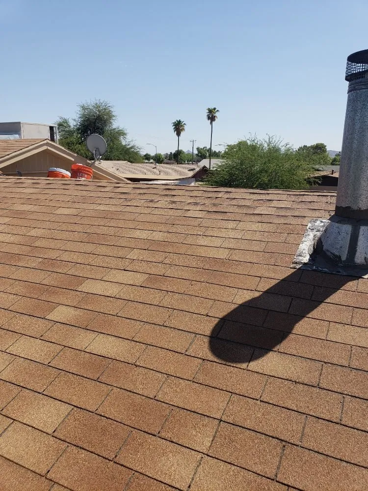 Affordable residential landscaping experts serving Phoenix, AZ - Doctor Rooftop