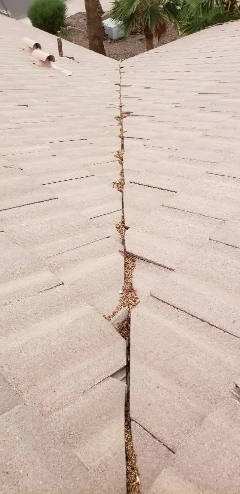 Affordable yard cleanup service with custom design across Phoenix, AZ - Doctor Rooftop