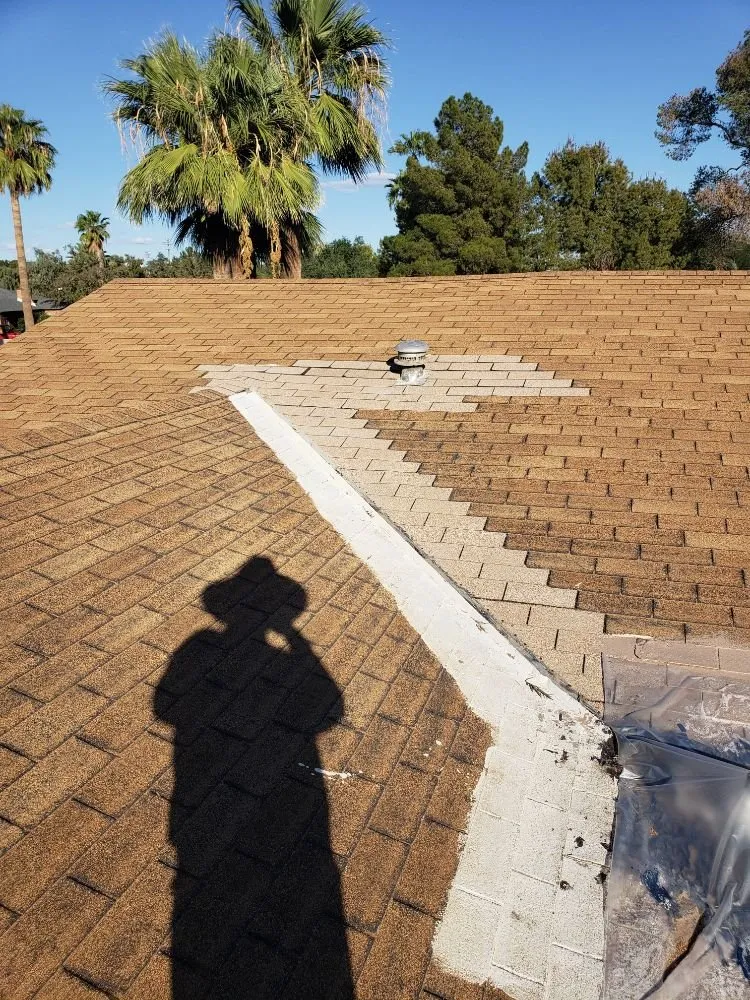 Affordable yard cleanup service in Phoenix, AZ by Doctor Rooftop