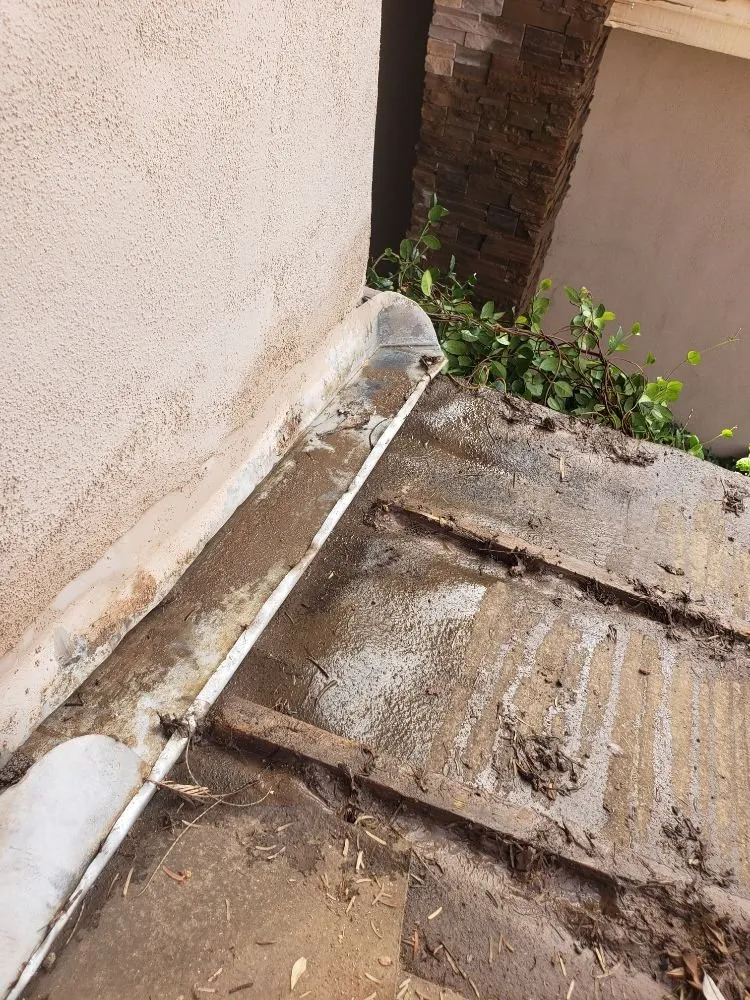 Trusted residential landscaping for residential properties across Phoenix, AZ - Doctor Rooftop