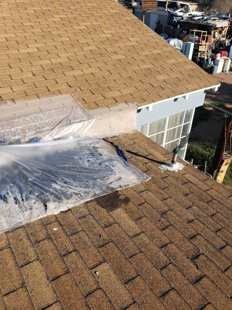 Professional landscaping services experts serving Phoenix, AZ - Doctor Rooftop