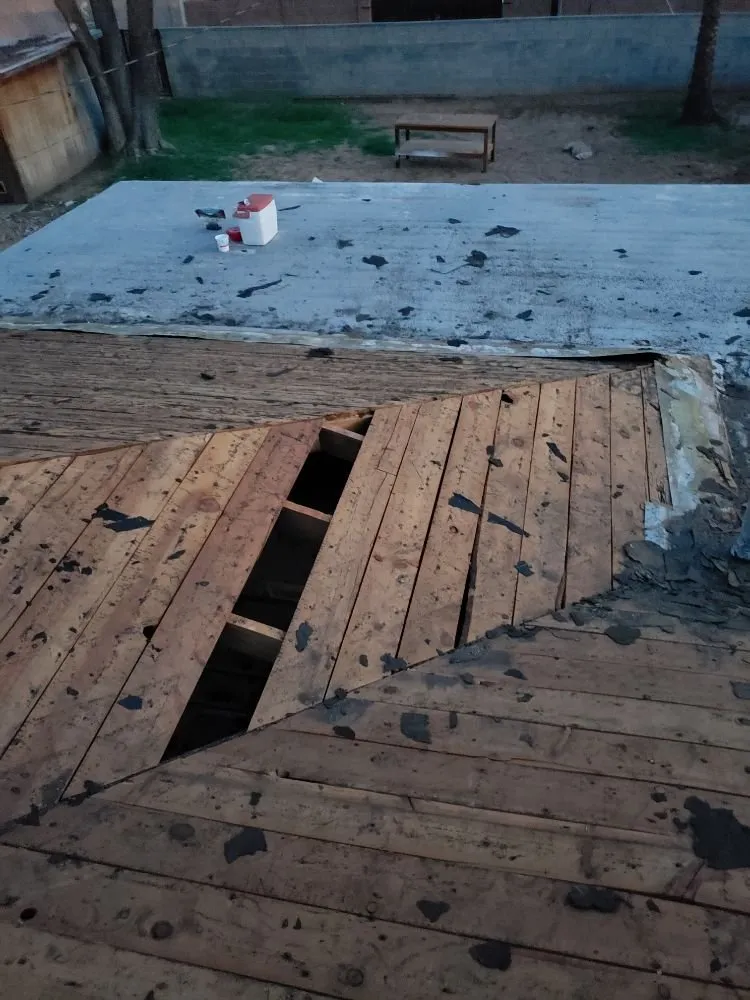 Custom outdoor landscaping in Phoenix, AZ - Doctor Rooftop