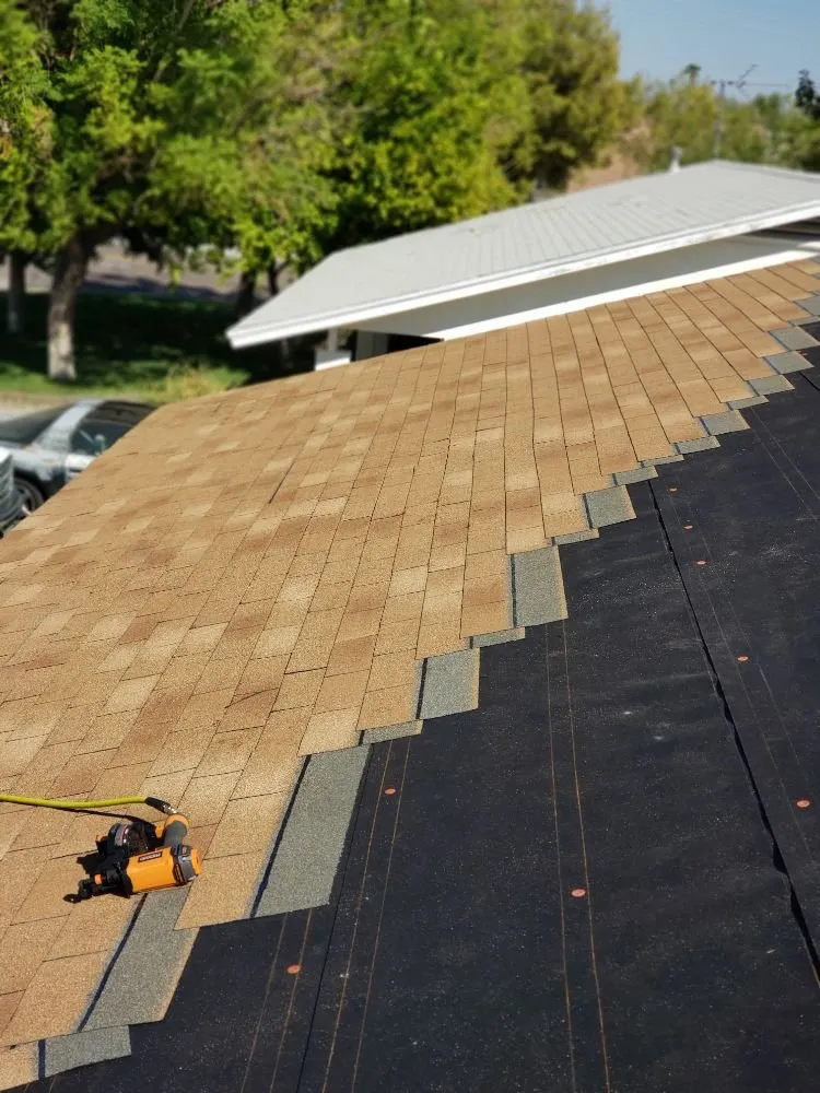 Local landscaping services experts serving Phoenix, AZ - Doctor Rooftop