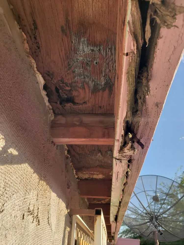 Professional landscape design in Phoenix, AZ by Doctor Rooftop