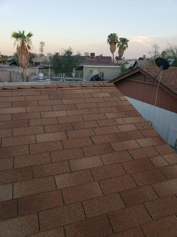 Reliable yard cleanup service for homes in Phoenix, AZ by Doctor Rooftop