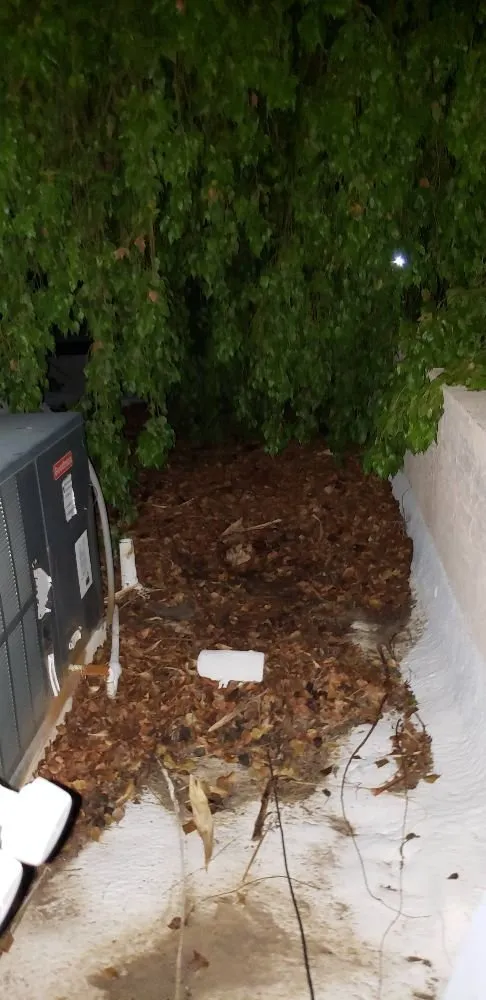 Reliable garden landscaping in Phoenix, AZ by Doctor Rooftop