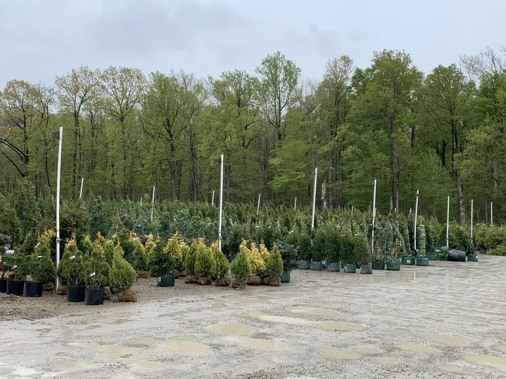 Affordable landscape design in Greenfield, IN by Doctor Tree & Landscaping Services