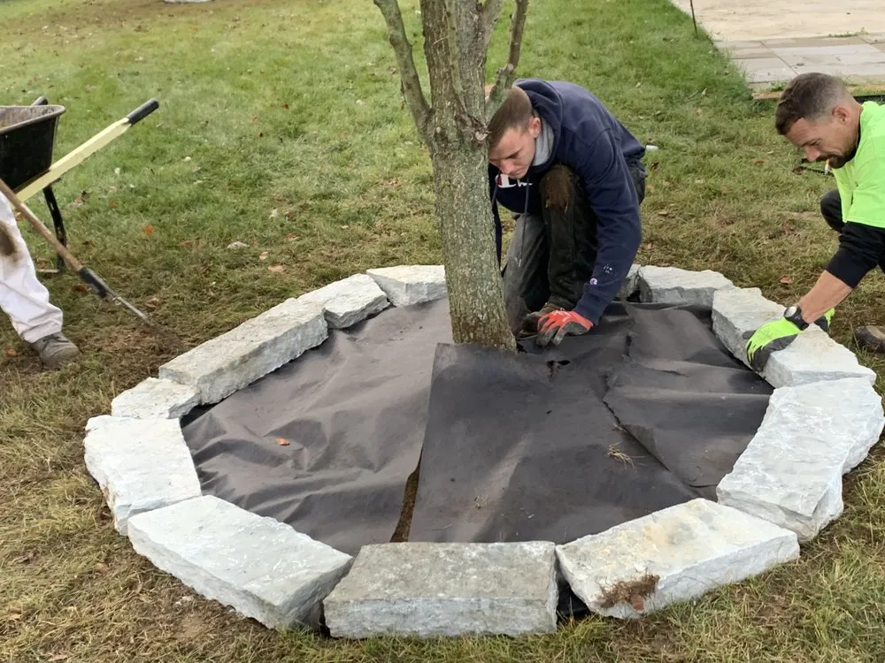 Professional landscape design in Greenfield, IN - Doctor Tree & Landscaping Services