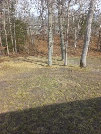 Expert outdoor landscaping in Vineyard haven, MA - Doctor's Landscape