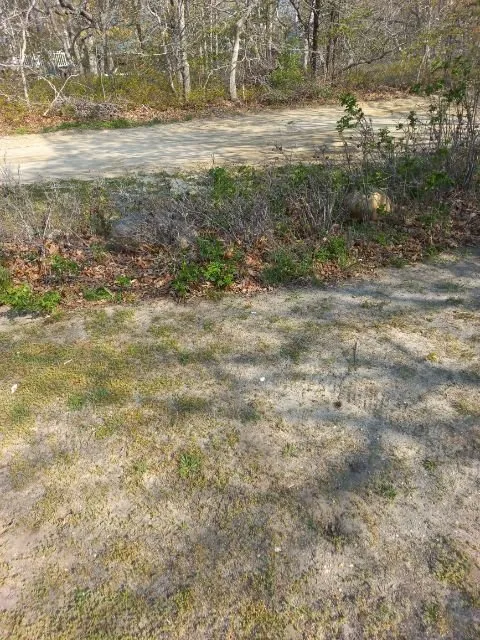 Local landscape installation for residential properties in Vineyard haven, MA by Doctor's Landscape