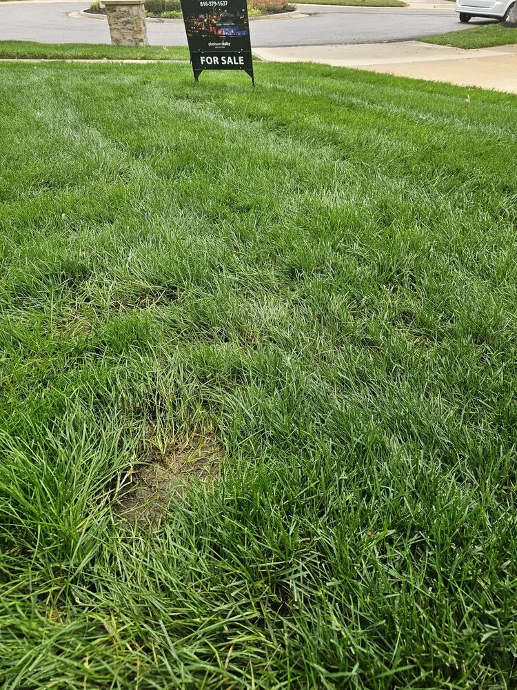 Local landscape design experts serving Stilwell, KS - Doctor's Lawn & Landscape