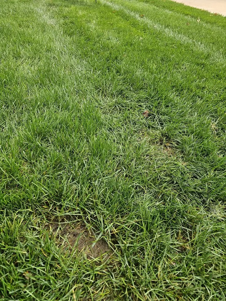 Trusted garden landscaping experts serving Stilwell, KS - Doctor's Lawn & Landscape