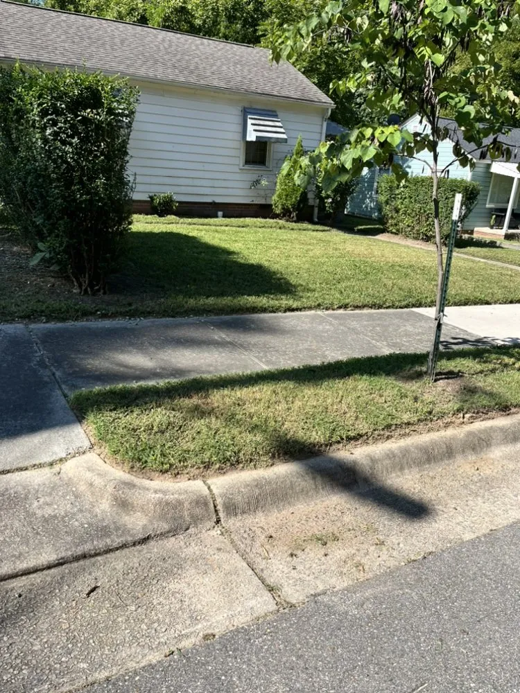 Professional garden landscaping for homes in Durham, NC by Dodats Landscaping