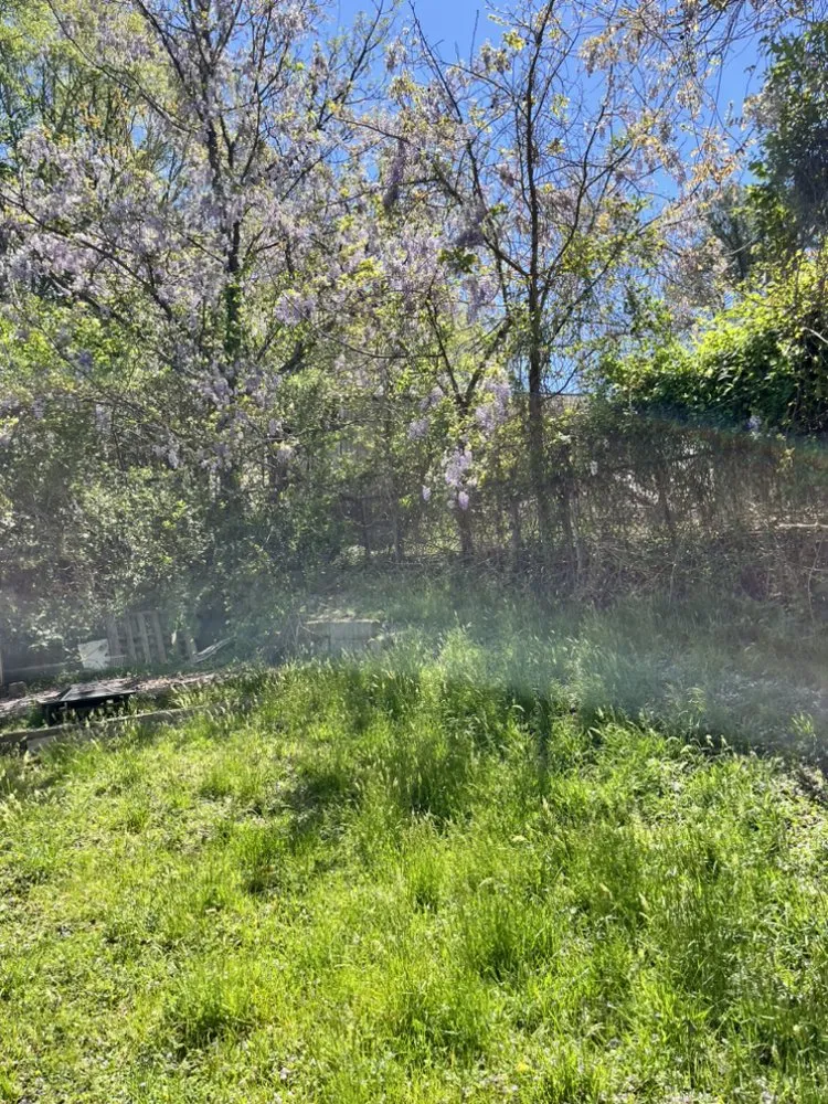 Reliable garden landscaping for homes in Durham, NC by Dodats Landscaping