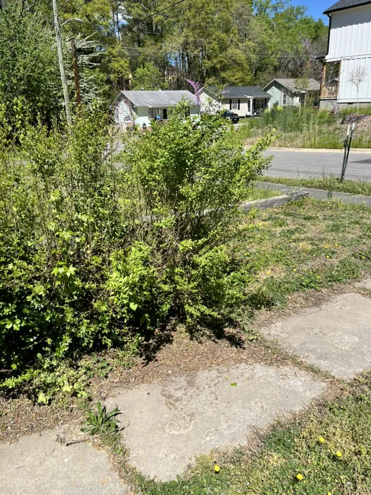 Custom landscape design in Durham, NC - Dodats Landscaping