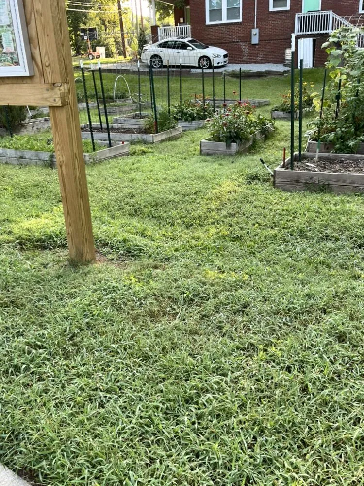 Local yard maintenance in Durham, NC - Dodats Landscaping