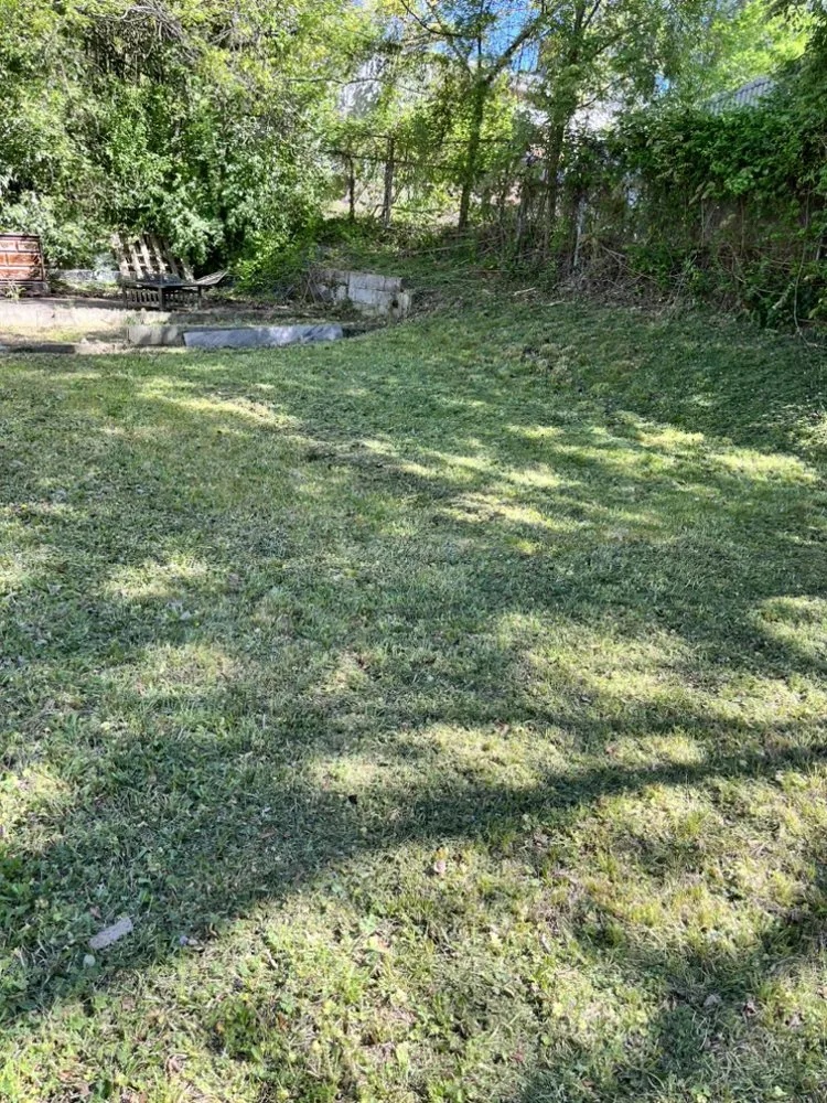 Reliable yard maintenance near you in Durham, NC by Dodats Landscaping