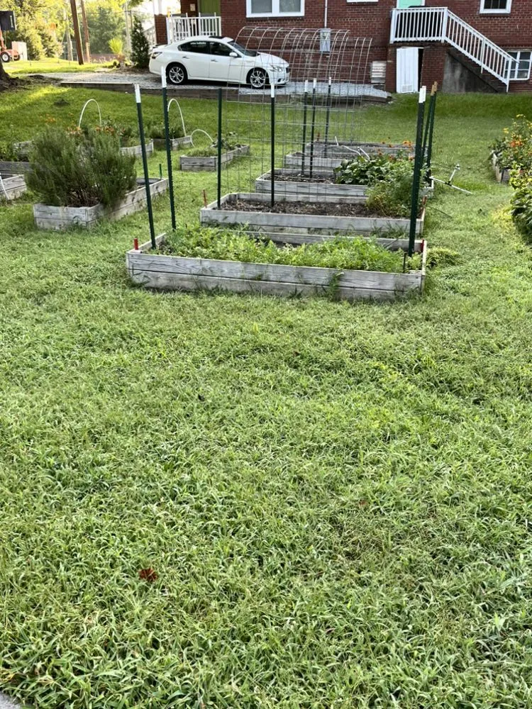 Custom residential landscaping experts serving Durham, NC - Dodats Landscaping