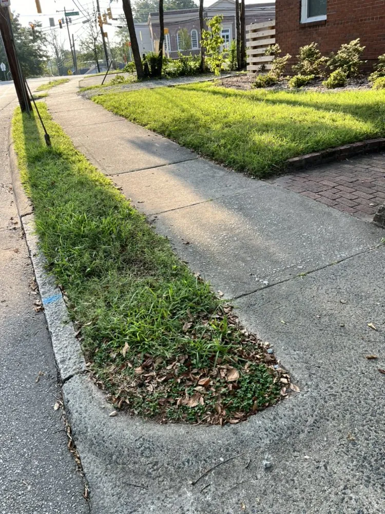 Reliable garden landscaping for beautiful yards across Durham, NC - Dodats Landscaping