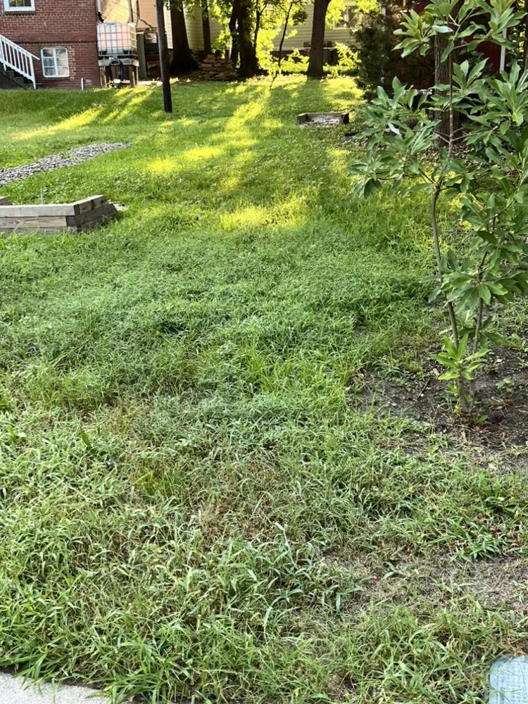 Trusted landscaping services experts serving Durham, NC - Dodats Landscaping