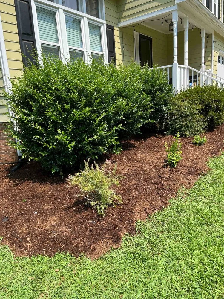 Reliable landscaping services in Durham, NC by Dodats Landscaping