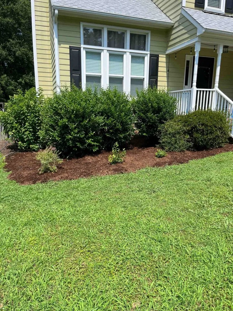 Affordable lawn care service in Durham, NC - Dodats Landscaping