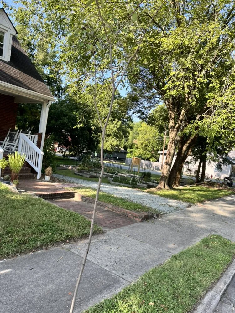 Professional yard maintenance in Durham, NC by Dodats Landscaping