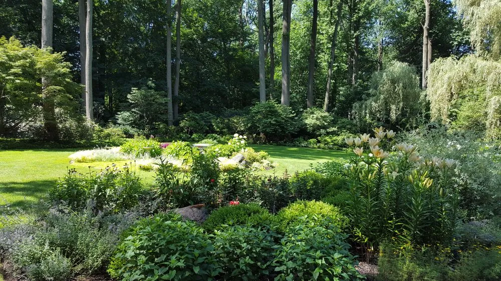 Reliable lawn mowing service experts serving Oyster Bay, NY - Dodds & Eder